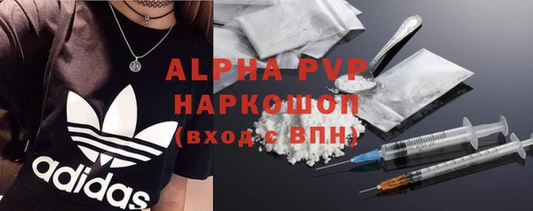 спиды Богданович