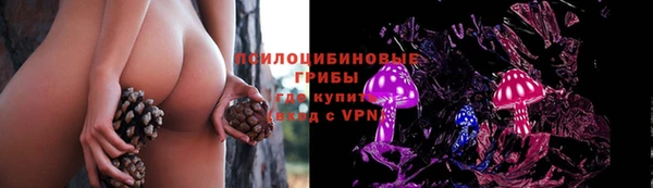 спиды Богданович