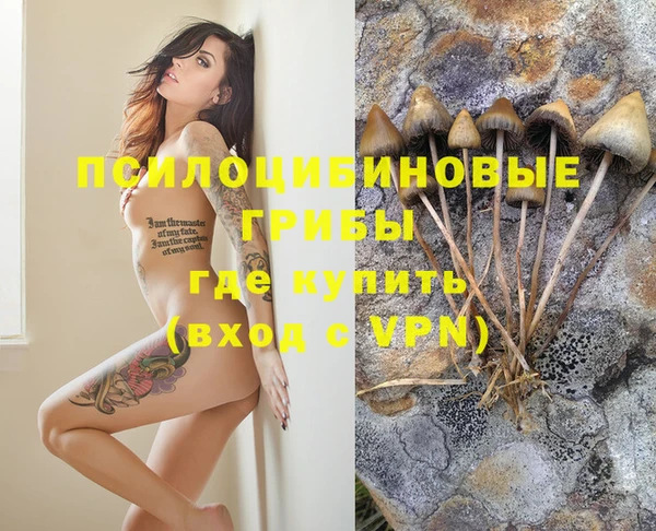 соль курить ск Бородино