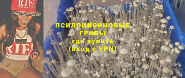 прущий лед Семилуки